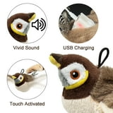 TETOU Cat Toys Flapping Bird Rechargeable, Touch Activated Interactive Kicker with Catnip (No Flying)